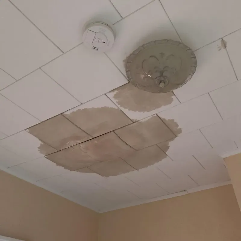 Ceiling Water Damage Repair in San Saba County, TX