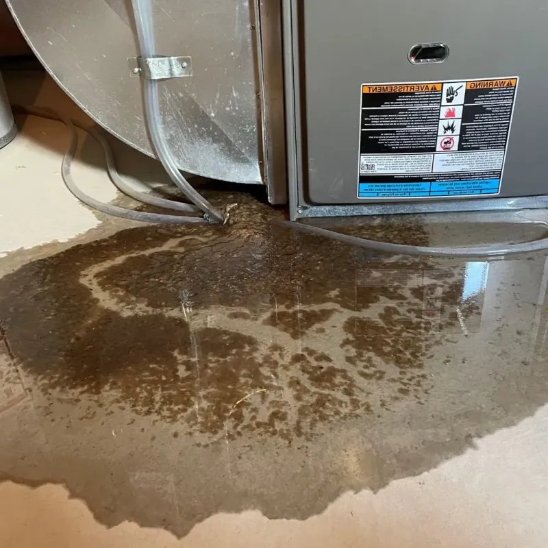 Pipe Burst and Leak Restoration in San Saba County, TX