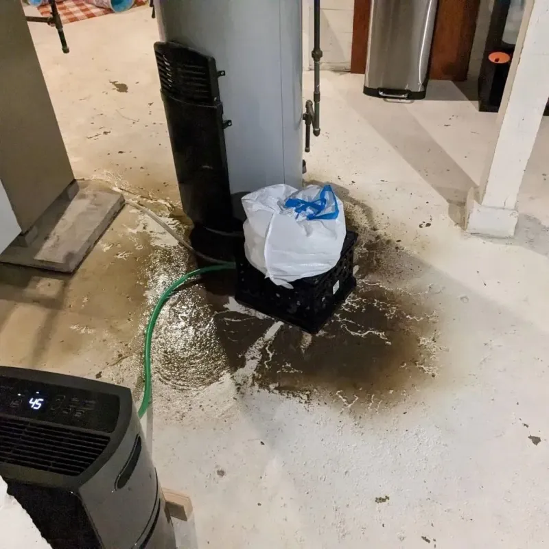 Sewage Backup Cleanup Service in San Saba County, TX